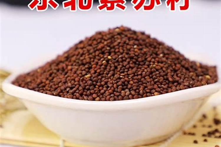 苏子叶的种植技术求老师帮忙