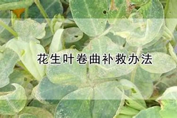 我的幸福树怎么了？