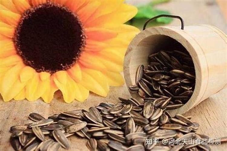 瓜子壳可以做肥料吗