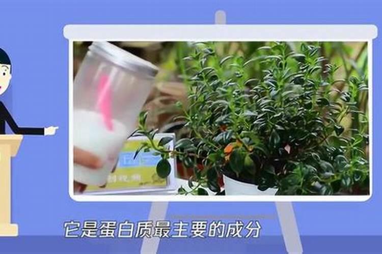 什么可以当肥料浇花,养花的氮肥有哪些
