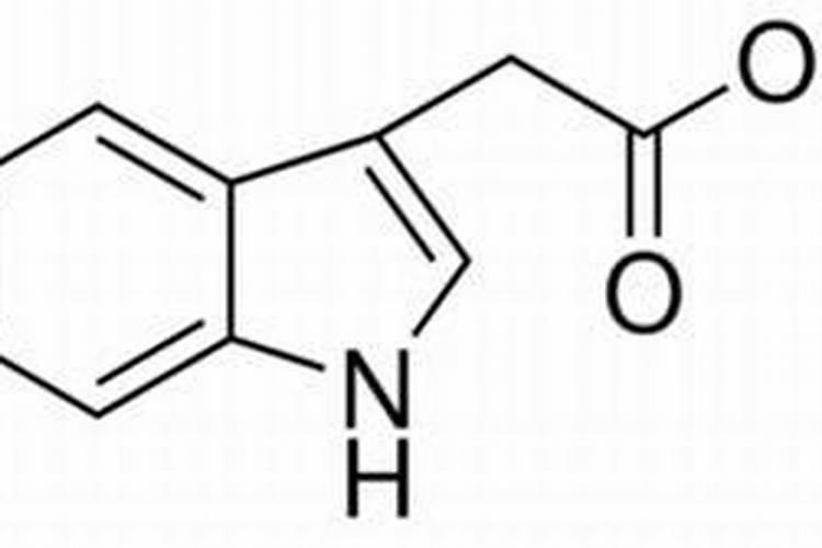 色氨酸什么食物多
