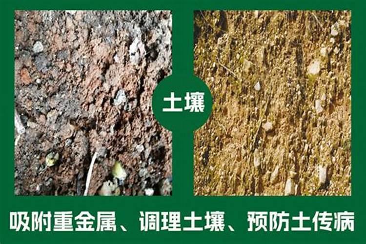 硅肥硅肥的十大作用