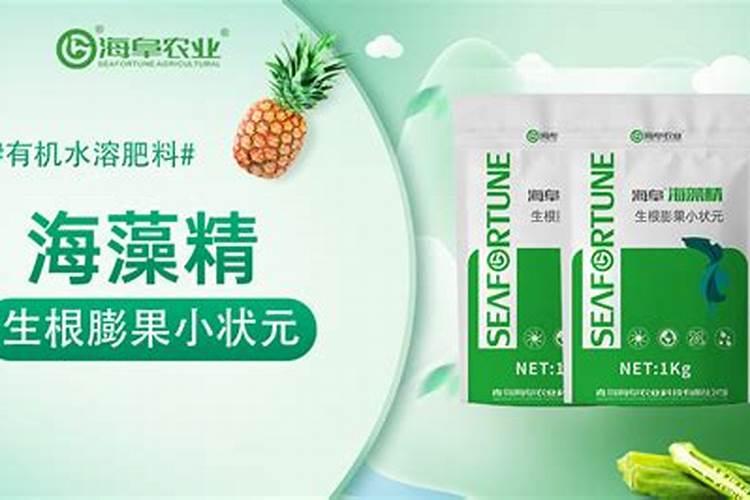 海藻甲壳素水溶肥什么月份用