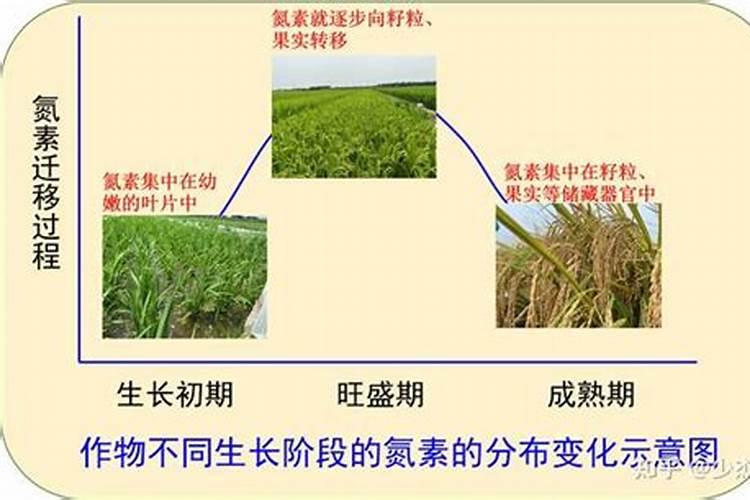 高浓度硫酸钾复合肥含量最高可以做到多少啊 氮肥最高可以到多少