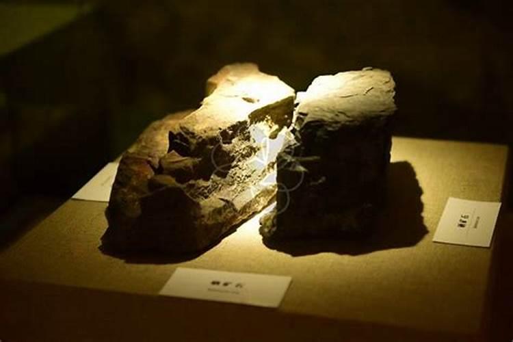 腐殖酸水溶肥是什么肥料？