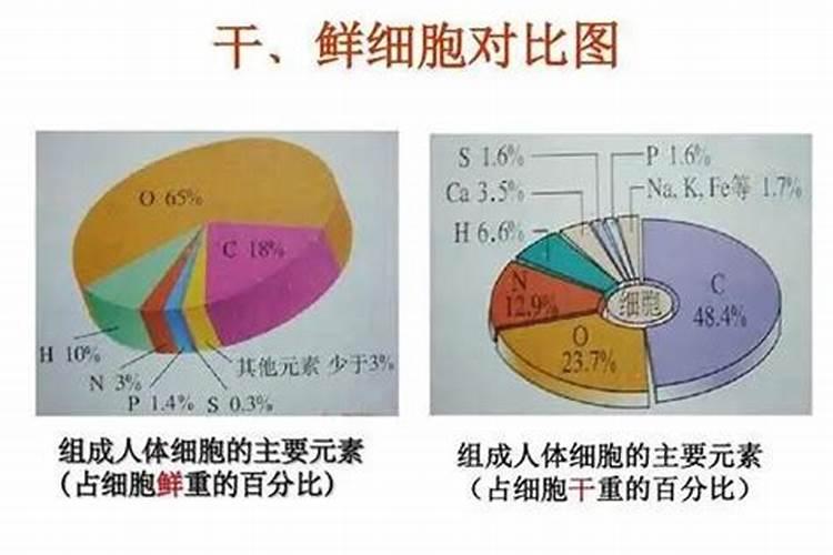 豆饼适合哪些花