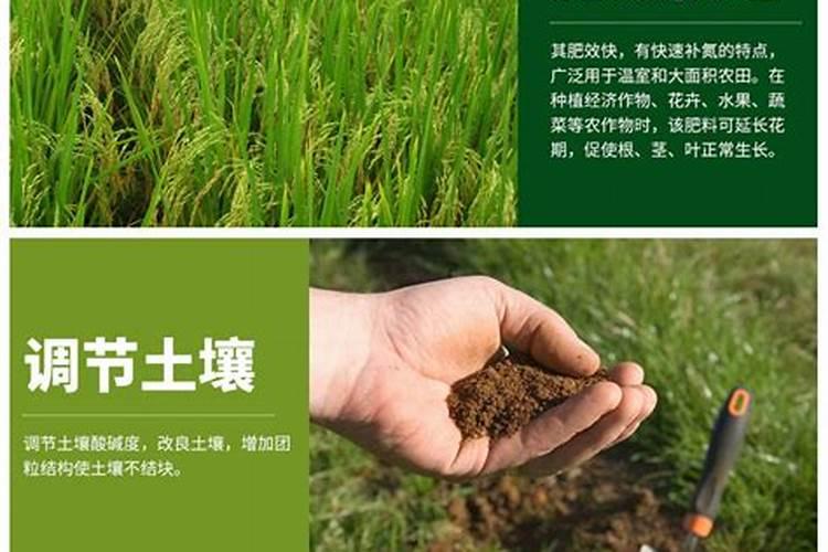 长效氮肥那个好