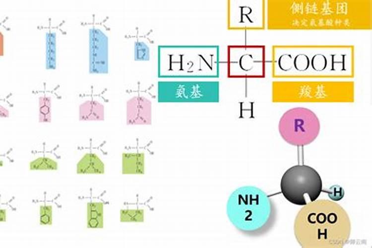 氨基酸液体肥料的功效与作用