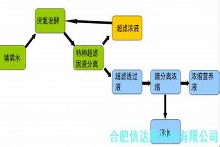 如何用沼液作为叶面肥喷施柑橘？