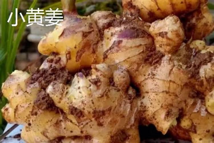 自驾从漯河到宜昌怎么走