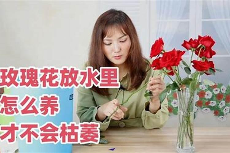 鲜花花苞不开怎么办