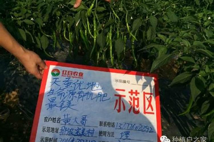 镁肥有哪些