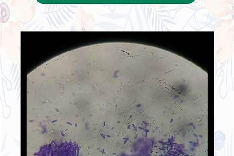 哈茨木霉菌能与大量元素混施吗？