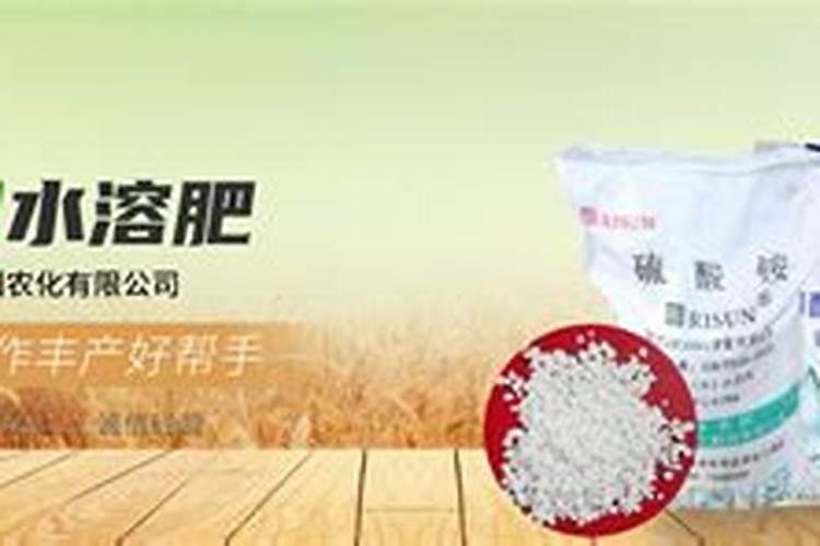 煮熟的猪心长毛了可以腐熟做为花肥料吗