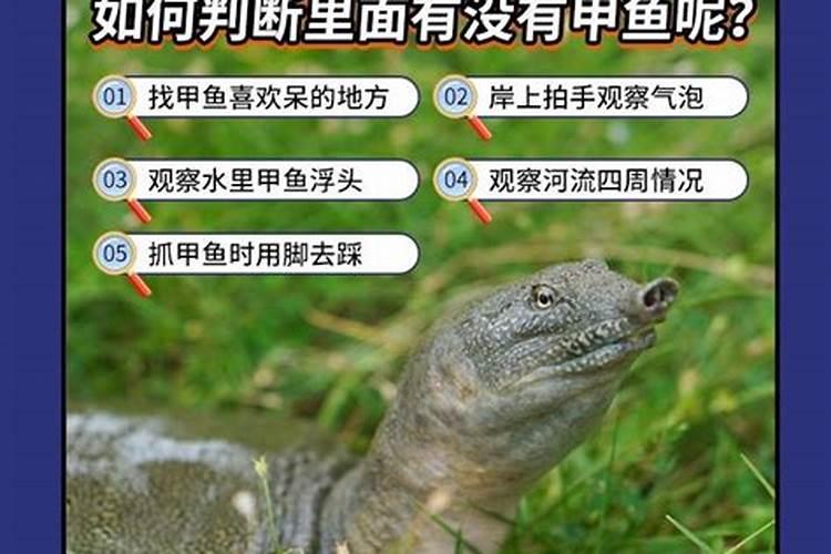 什么是鱼蛋白肥料,鱼蛋白肥料作用及使用方法