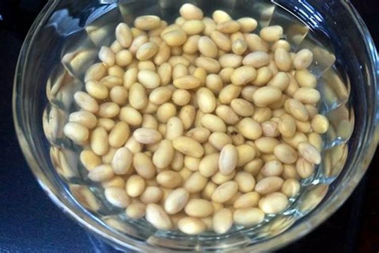 花生豆类可以做种花的底肥吗？