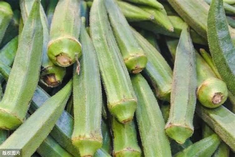 秋葵施肥时间及方法,秋葵移植后施什么肥好