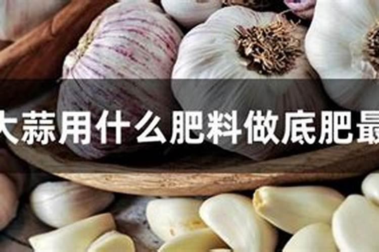 种植大蒜过程中,如何科学的施肥才能使大蒜高产？