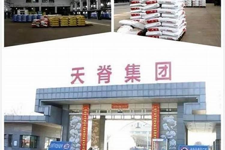 目前高塔硝基复合肥生产厂家和知名品牌