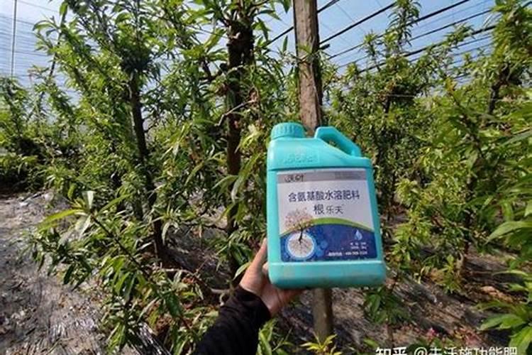 桃树叶面肥如何用磷酸二氢钾