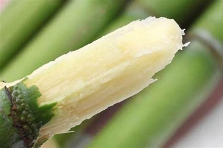 香蕉皮做花肥含氮磷钾哪种多