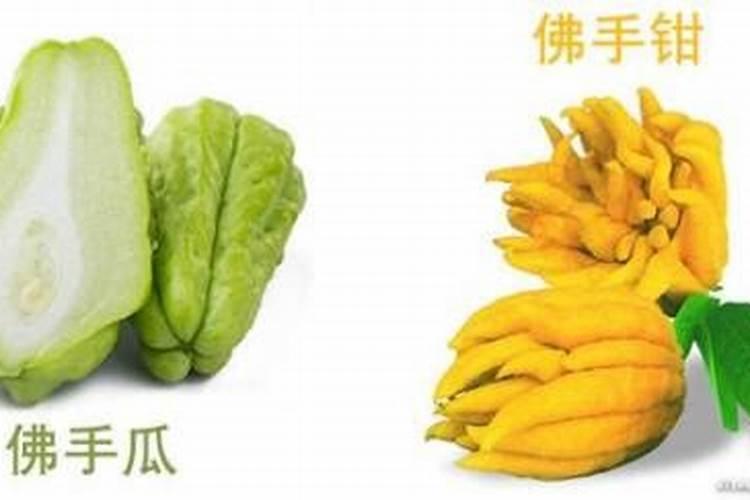 磷钾肥指的是什么肥？