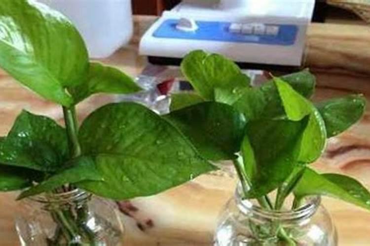 油炸糕怎么做 油炸糕的家常做法