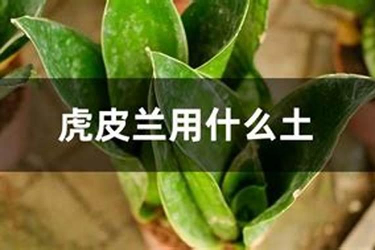 老挝甘蒙省钾盐矿在哪里
