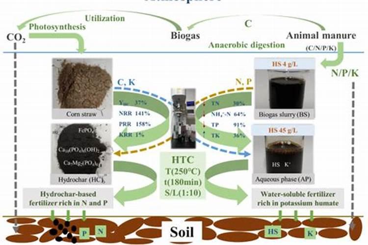 矿源黄腐酸钾的功效是什么？