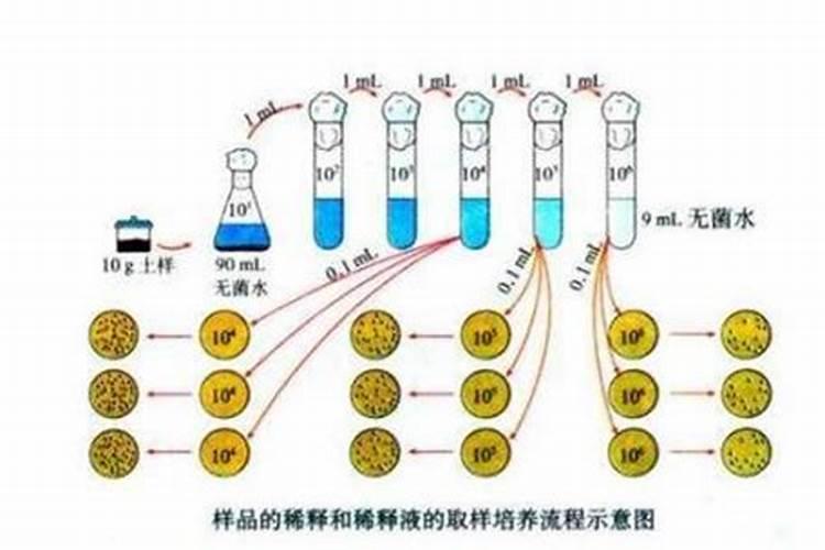 鱼蛋白自制配方比例
