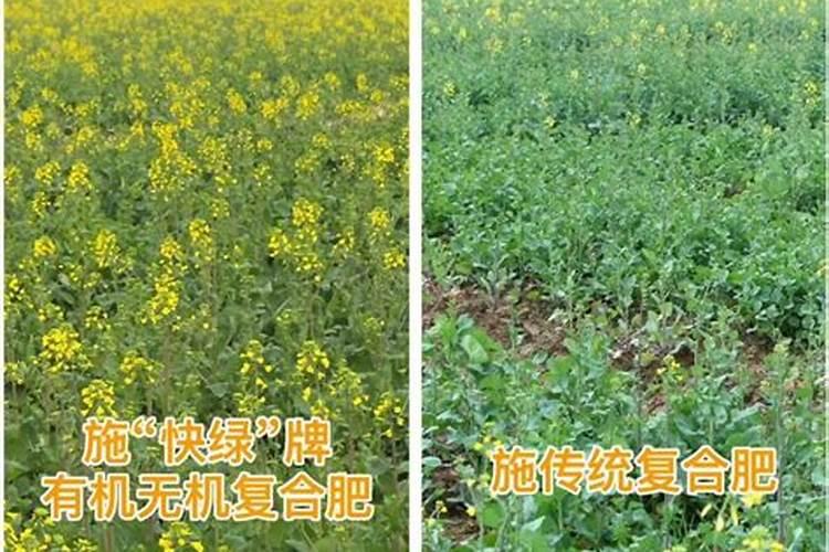 什么叶面肥使叶片变厚 什么叶面肥效果最好