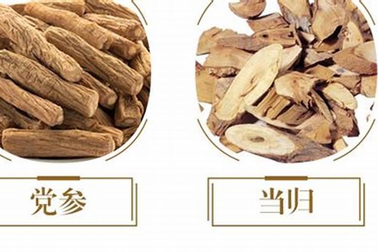 南昌花卉批发市场在哪里