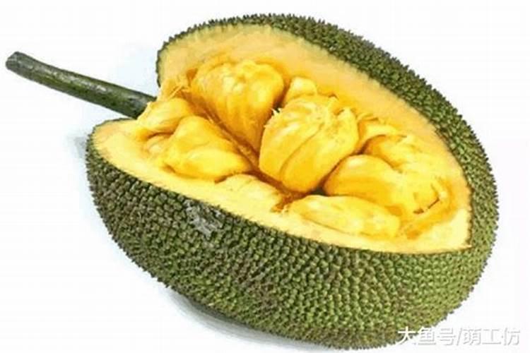 菠萝蜜花期要施什么肥