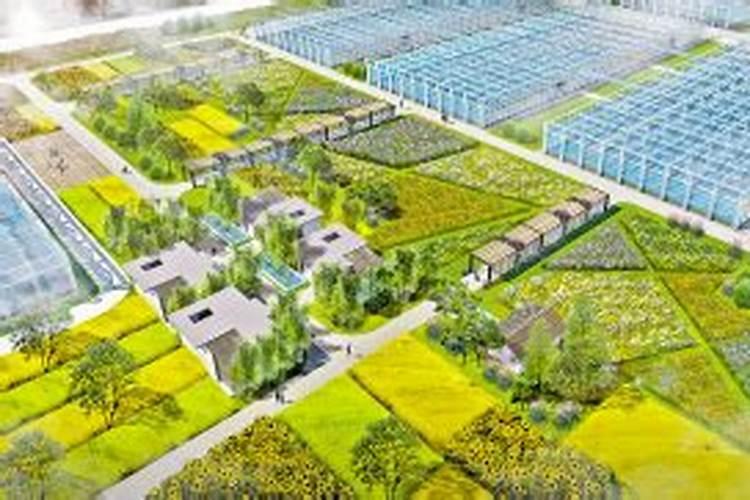 药肥双控保水功能型肥料多少钱一袋