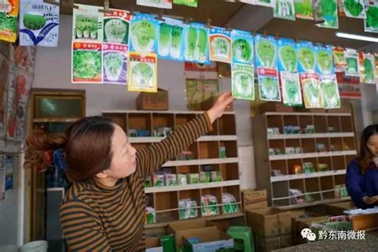 贵阳都匀凯里有收鲜白芨果的吗？