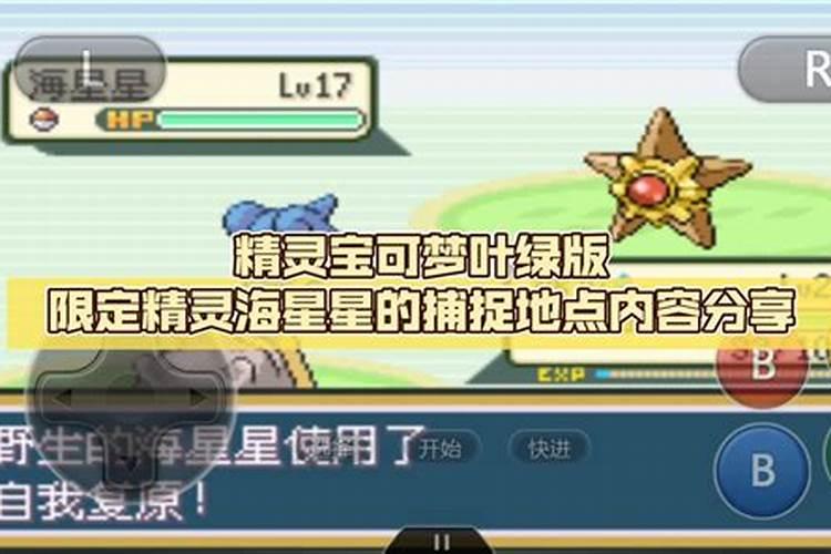 草莓如何施肥