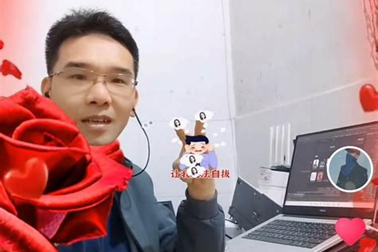 钾肥对植物的作用