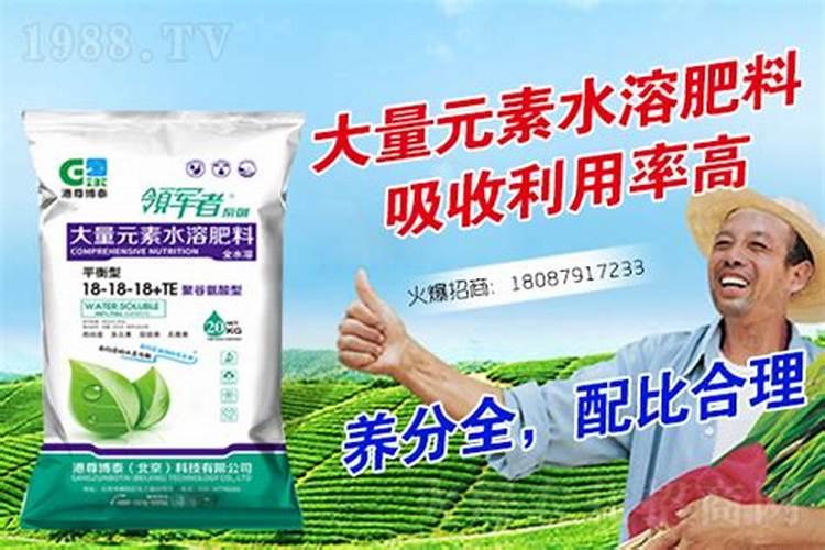 好的水溶肥如何选择