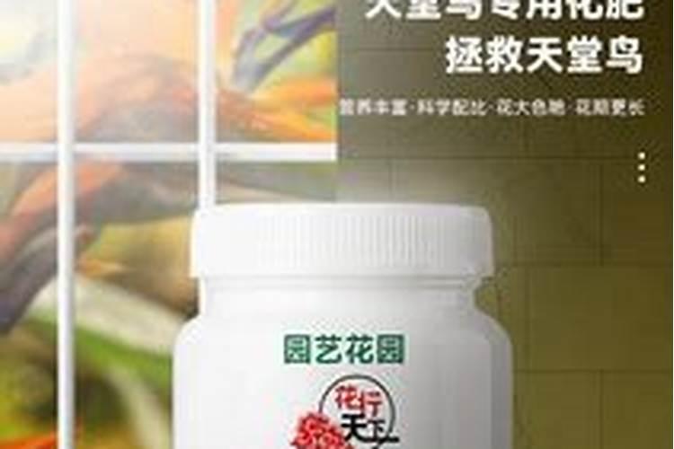 天堂鸟用什么肥料好