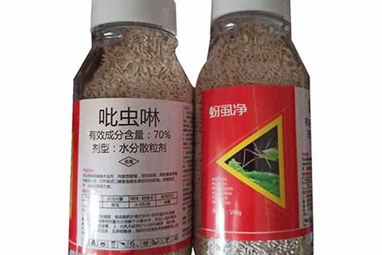 甜瓜接出来的瓜怎么发黄了？