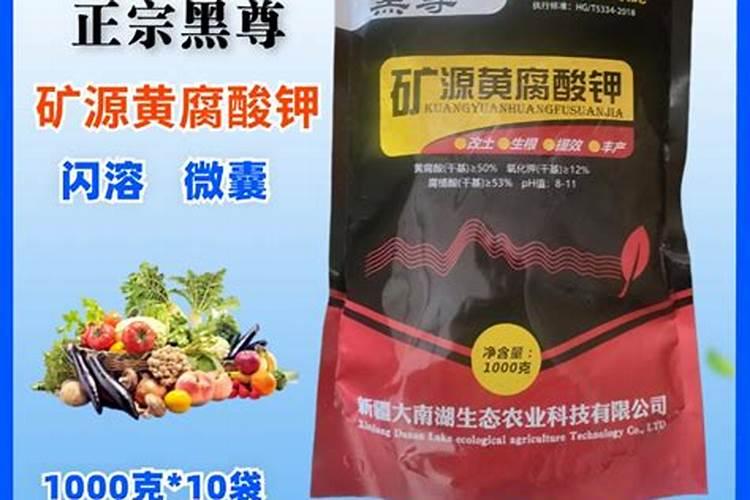大姜大葱生根剂和冲施肥的最佳选择