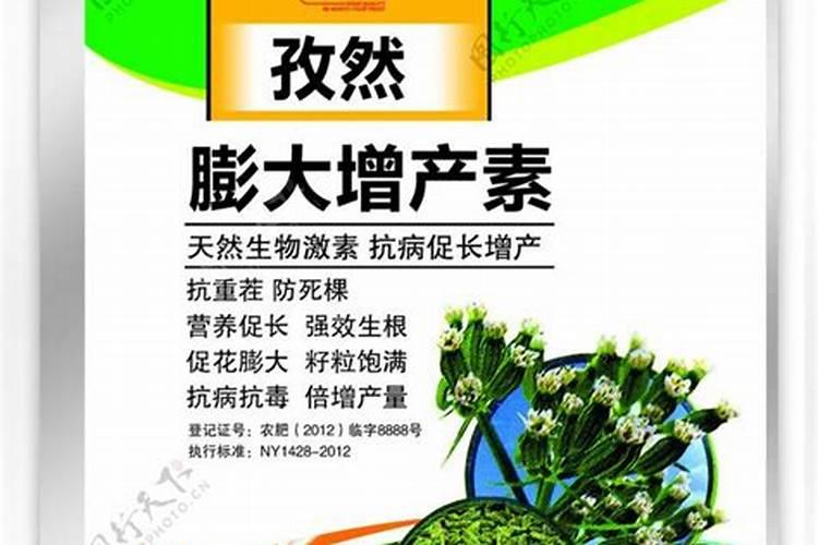 桃美人怎么施肥 桃美人的施肥方法