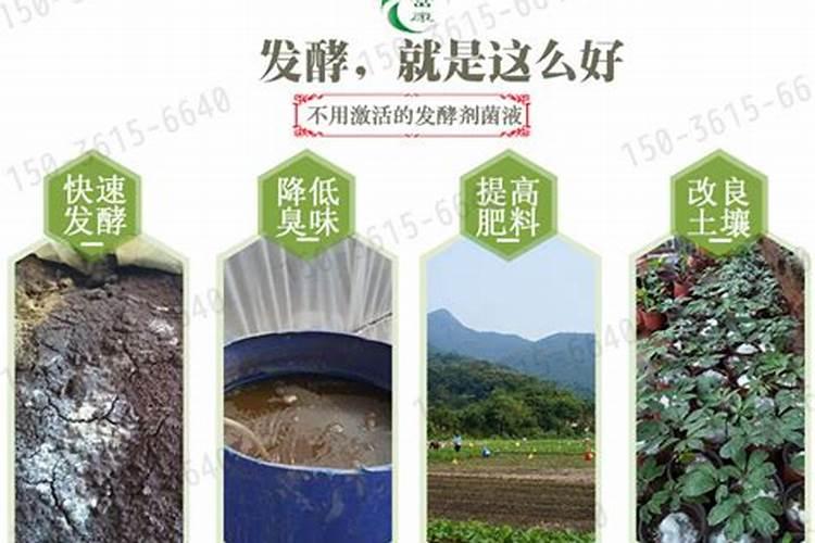 种土豆用什么肥料