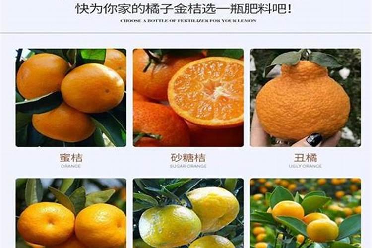 水培花生芽不长须根怎么办？