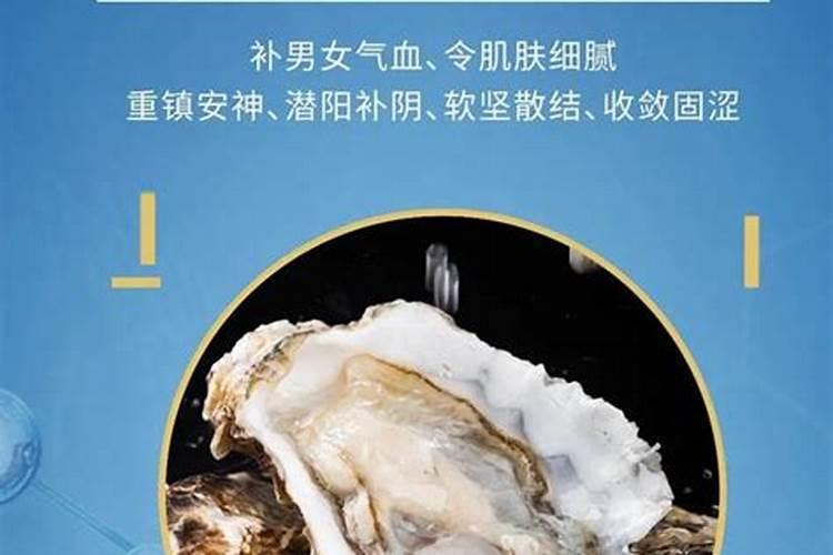生蚝壳能不能放入月季花？