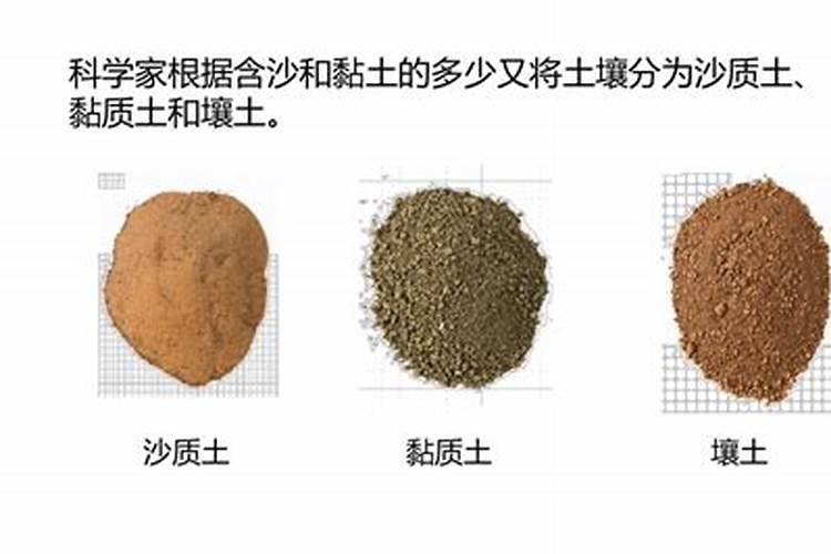 钾肥的正确使用方法