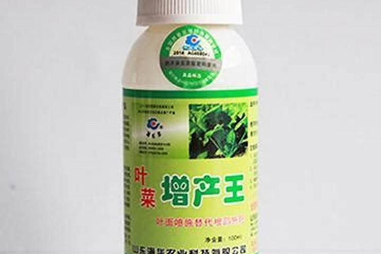 刺梨怎么种植 刺梨种植条件和技术