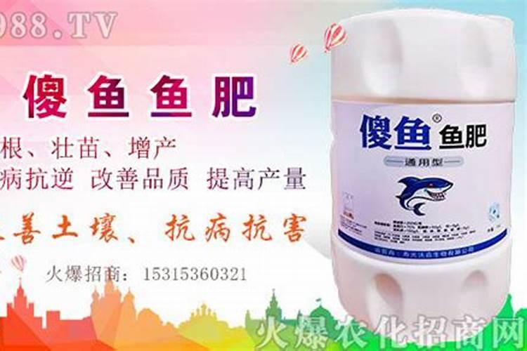 多肉植物能浇鱼蛋白肥料吗？