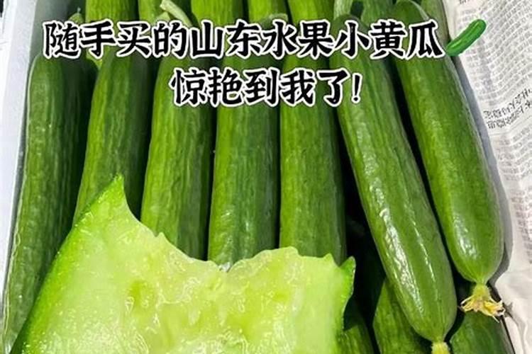 黄瓜的土壤有哪些要求