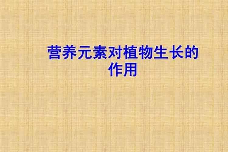 大量元素水溶肥的作用与功效